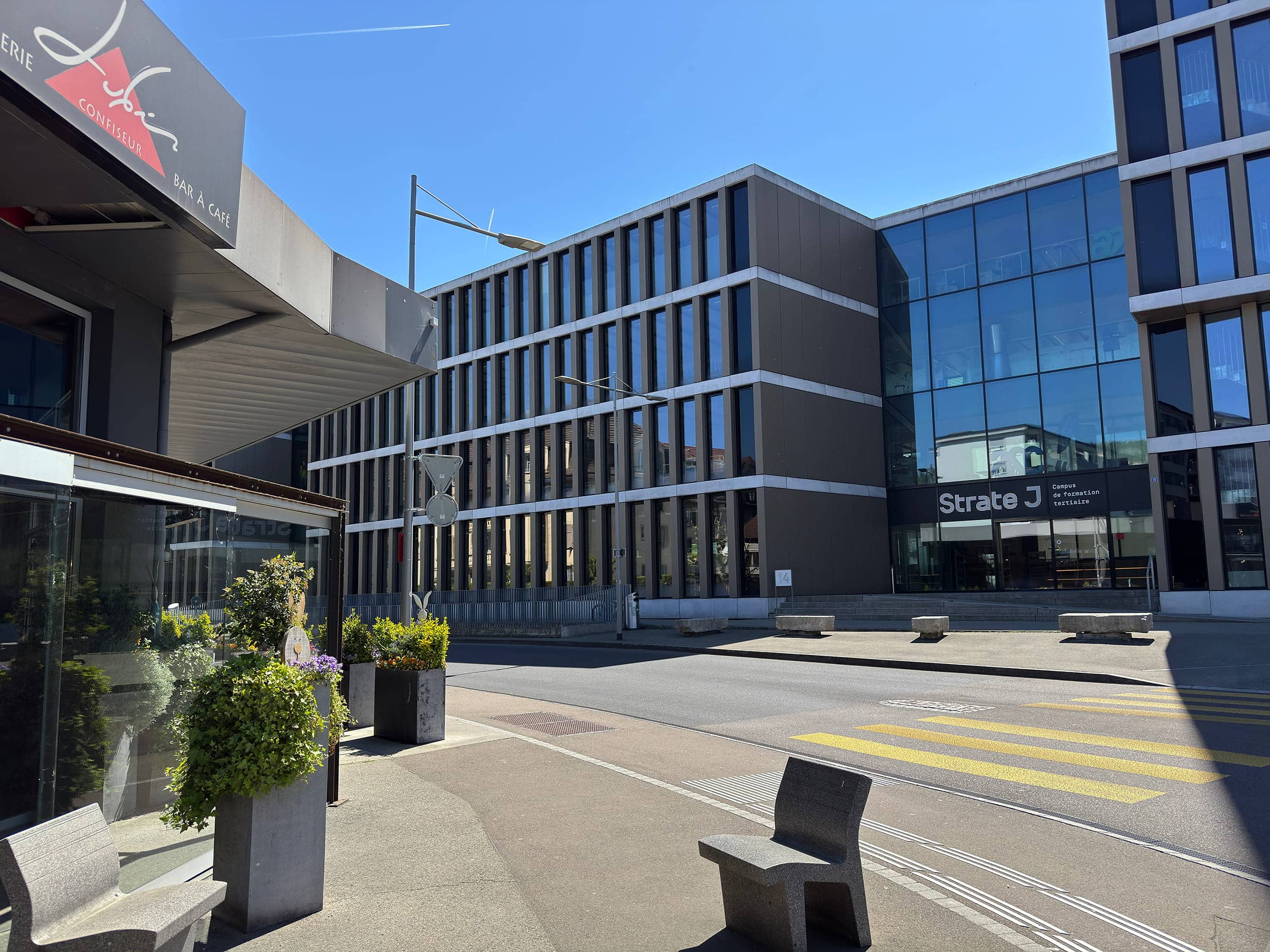 Formation et perspectives professionnelles