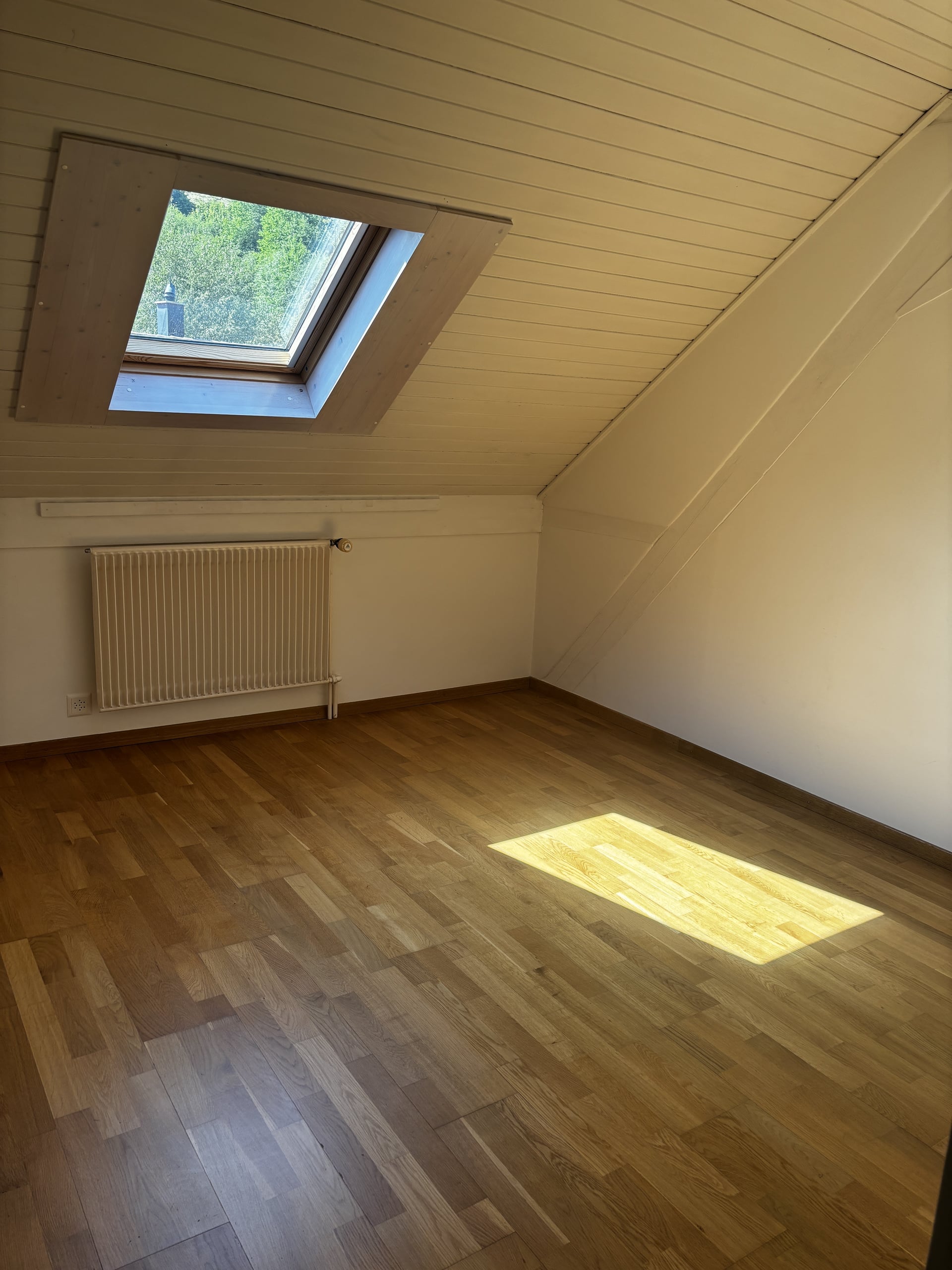 Moutier - proche gare - appartement de 3,5 pièces sous le toit - photo 5