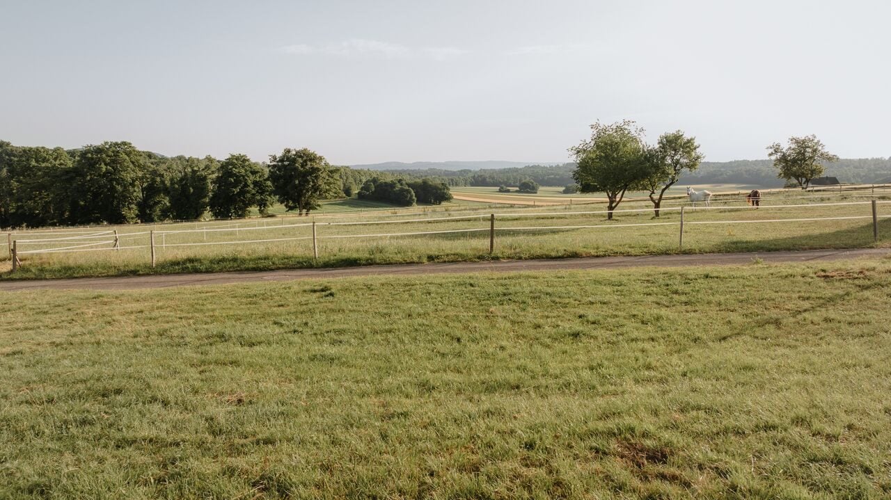 À vendre terrain à bâtir viabilisé et plat de 720 m2 à Bure - photo 3