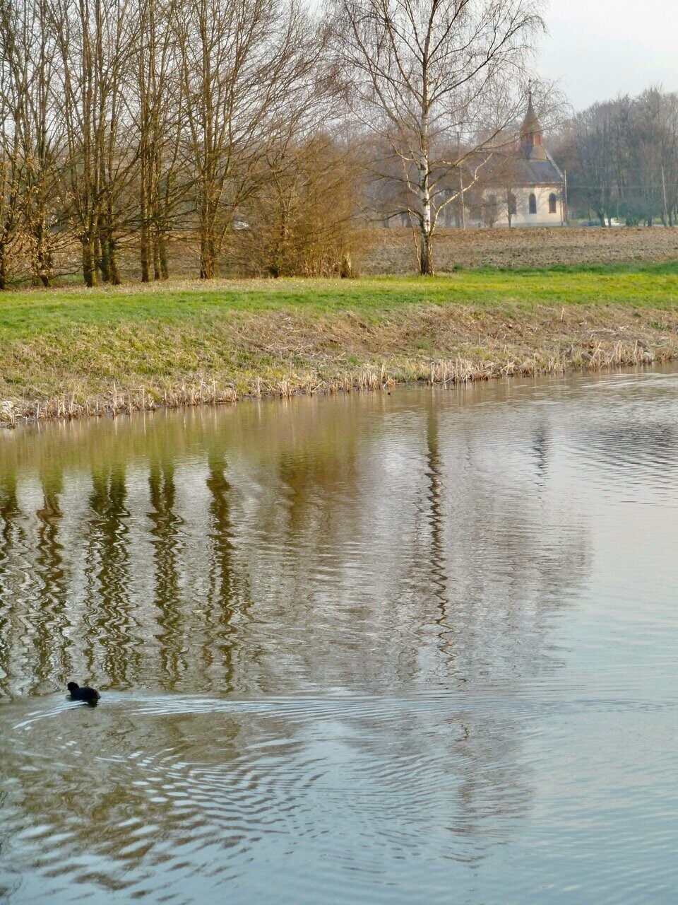 Deux étangs à vendre à Ueberstrass en France - photo 5