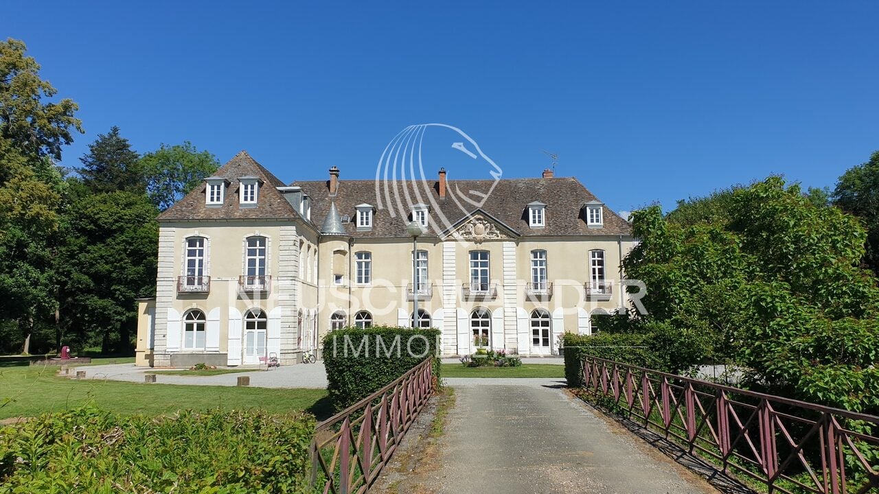 À vendre Château de 45 pièces proche de Vesoul - photo 1