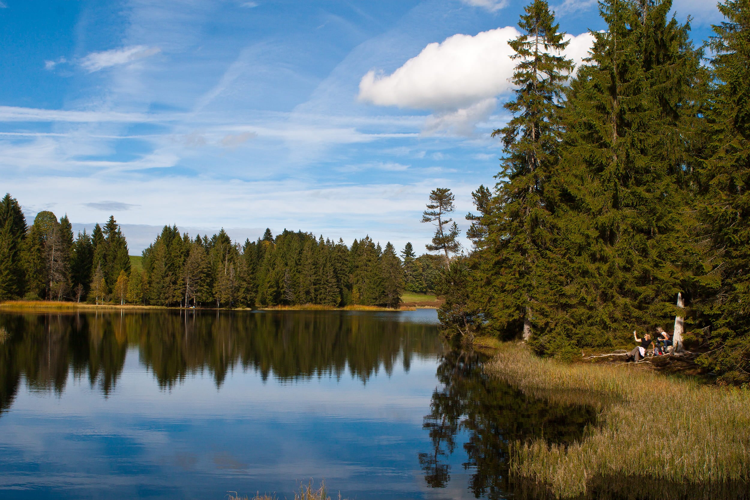 Etang de la Gruère