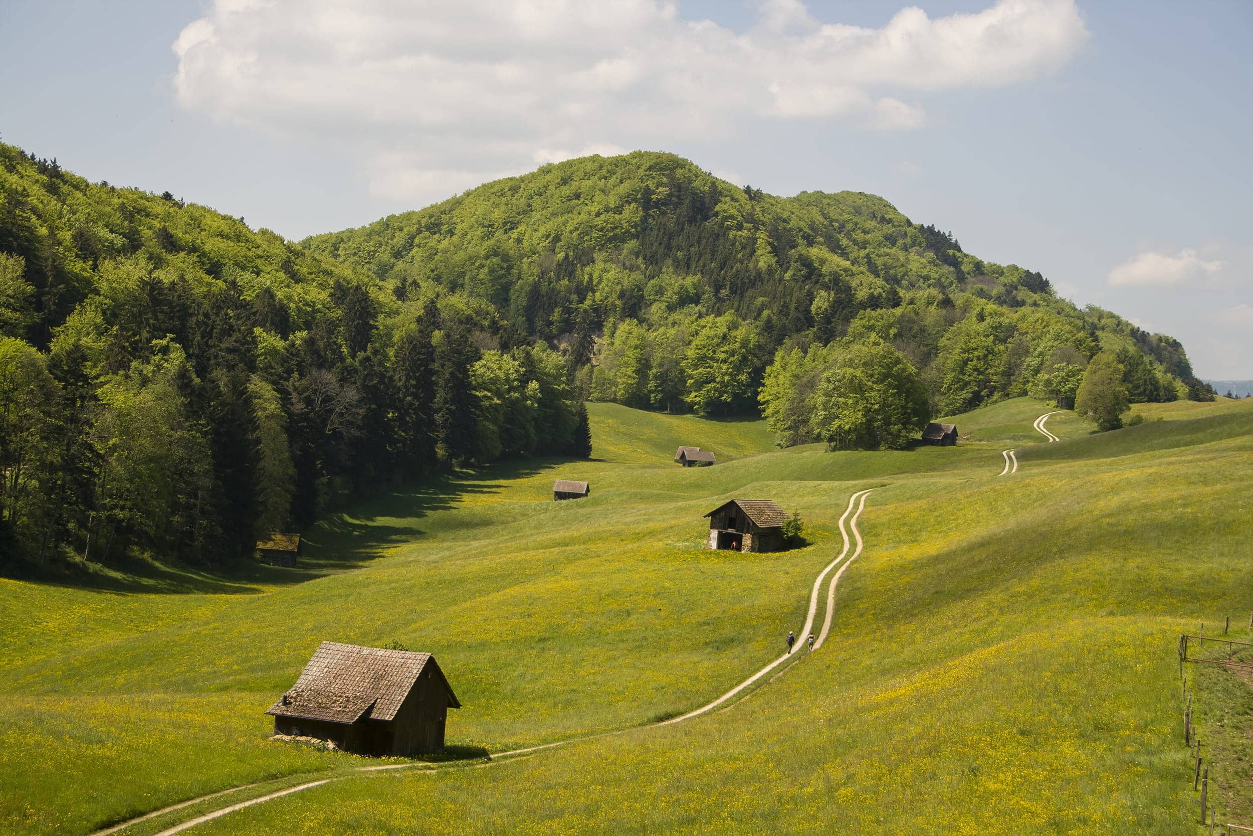 District de Laufon